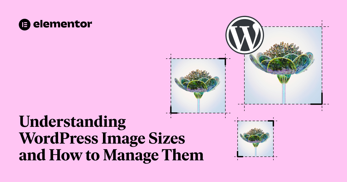 Understanding Wordpress Image Sizes And How To Manage Them | Elementor