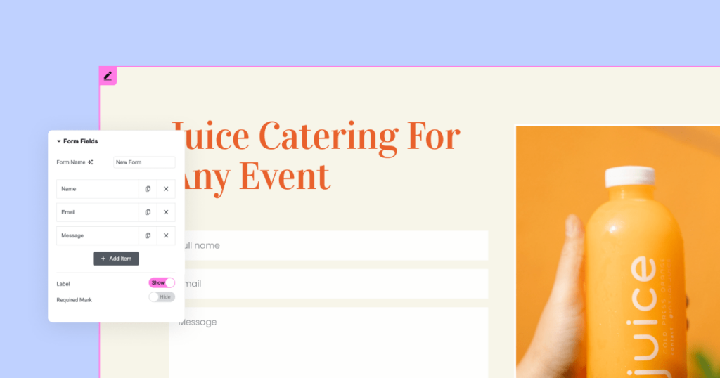 Form Lite Min Introducing Hello Biz: A New Beginner Friendly Wordpress Theme 3