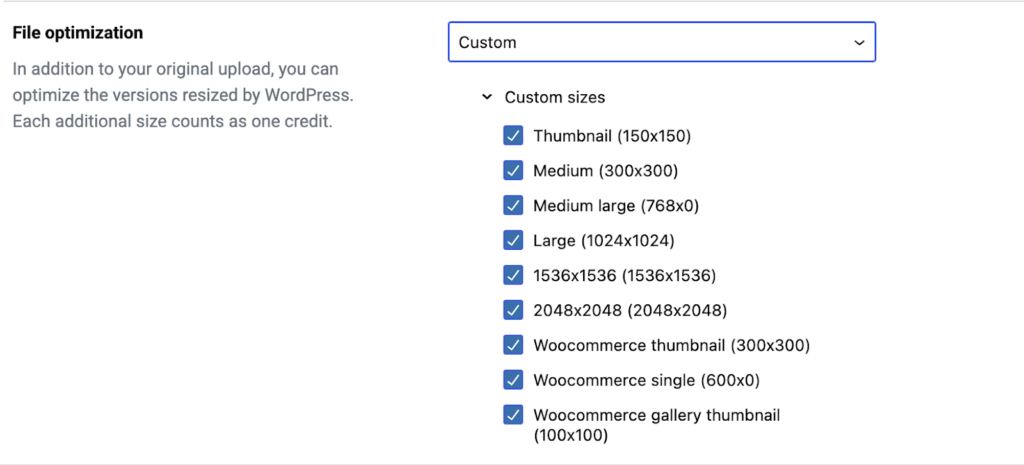 Image 8 Understanding Wordpress Image Sizes And How To Manage Them 2