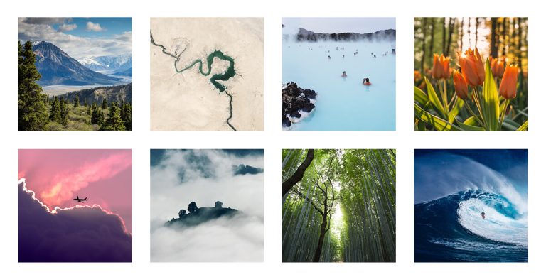 Image Gallery