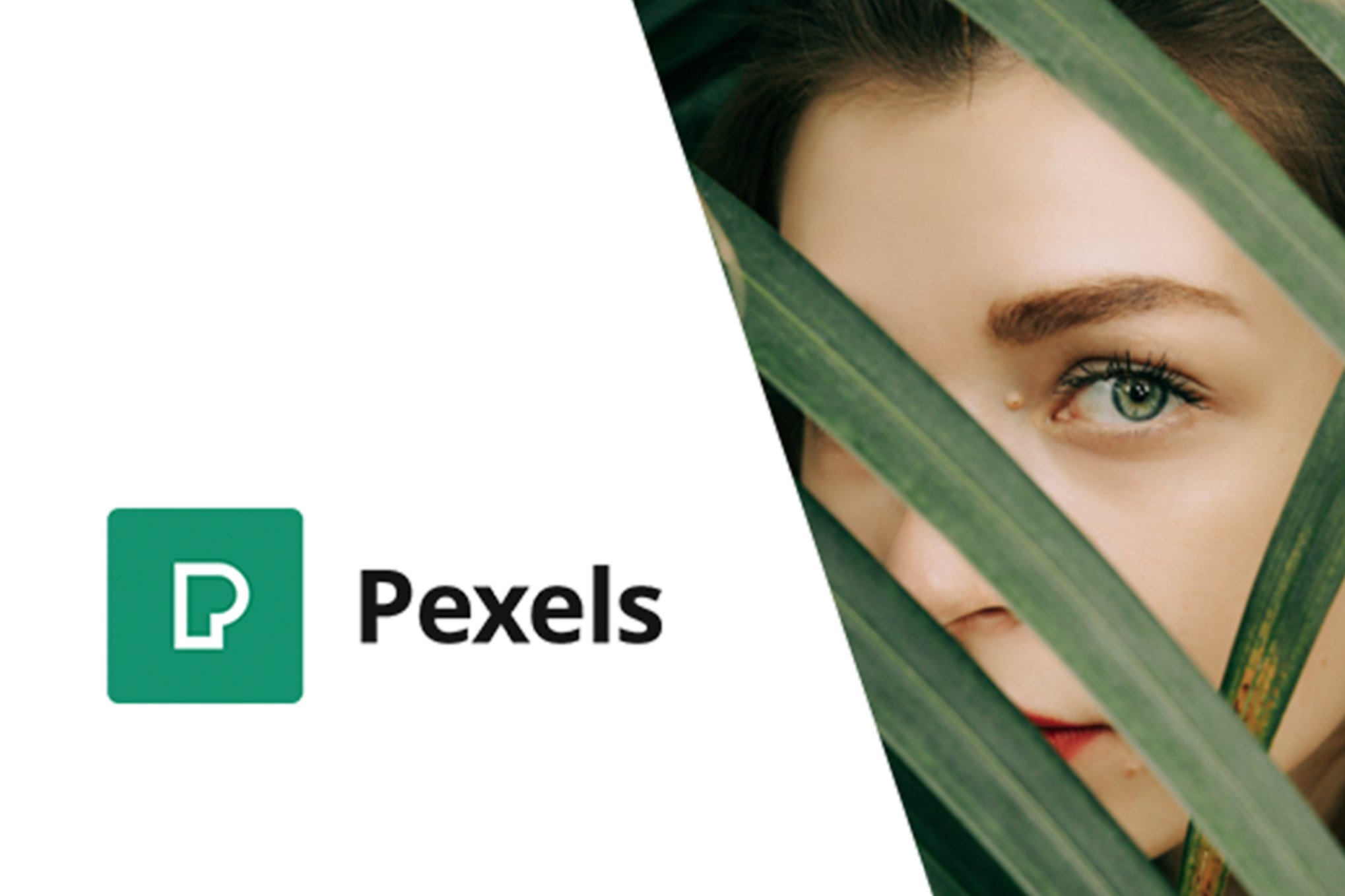 Pexels – Import Free Stock Images Into Wordpress