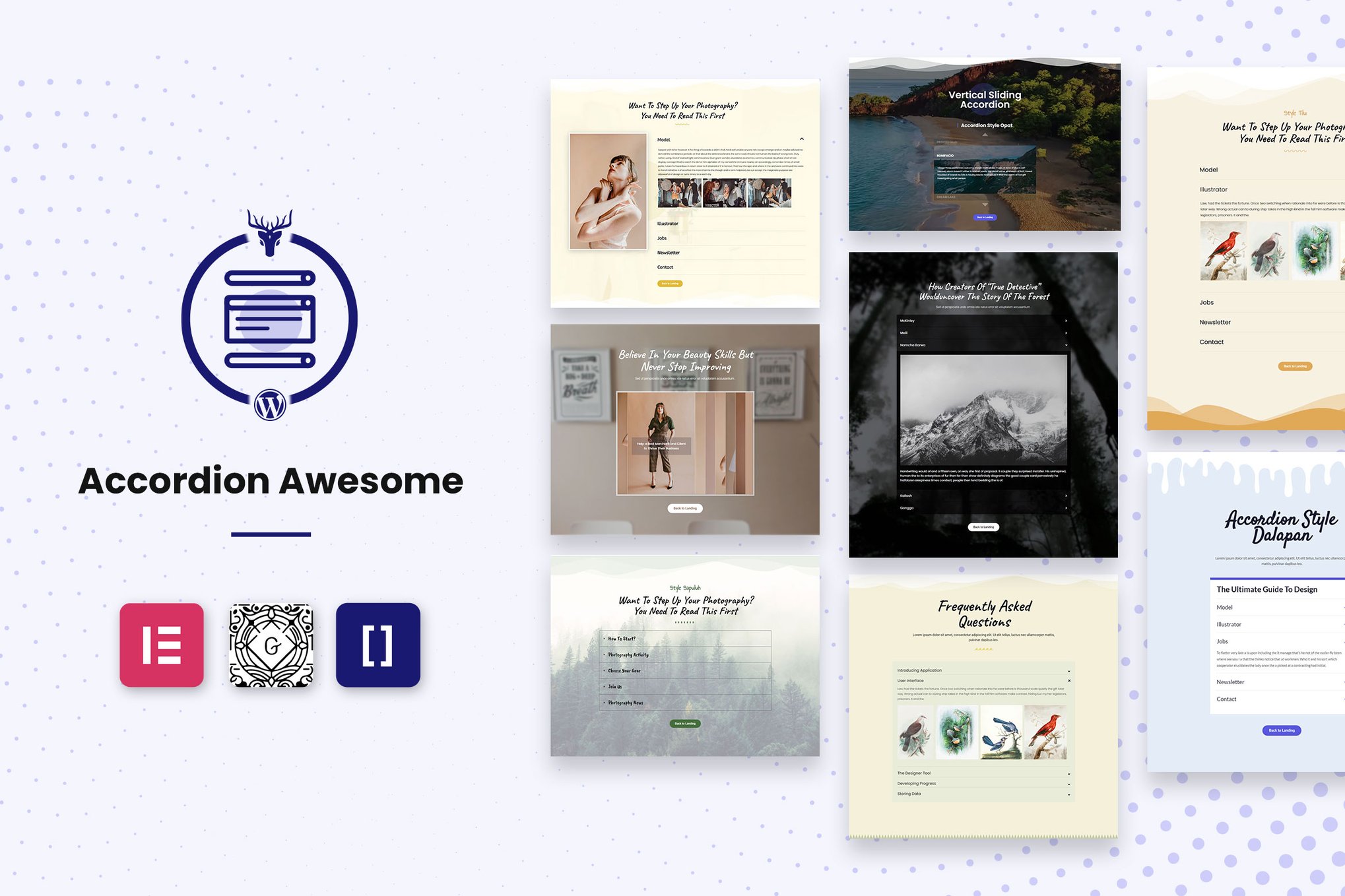Wordpress Accordion Plugin – Accordion Awesome Pro