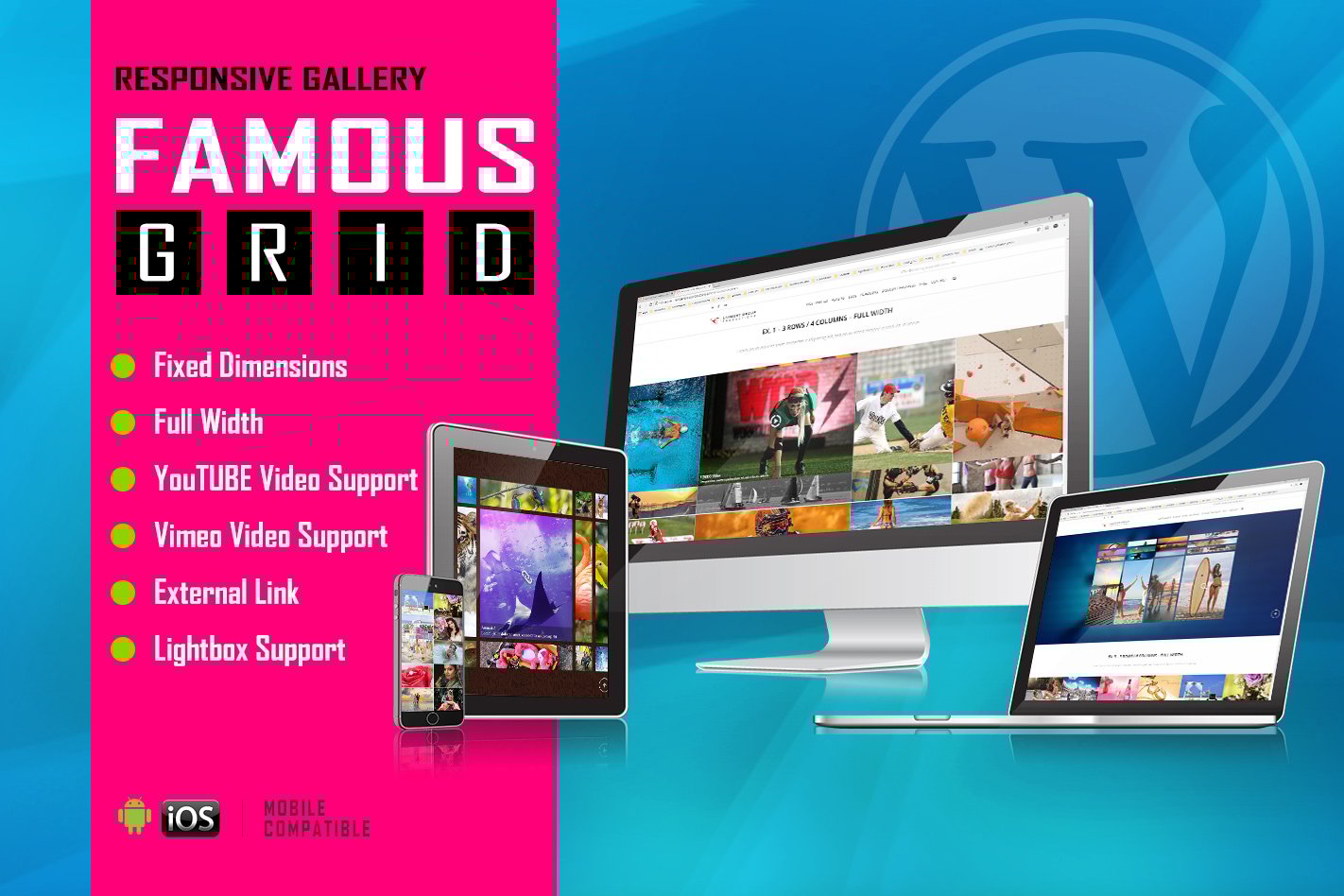 Famous – Responsive Image And Video Grid Gallery